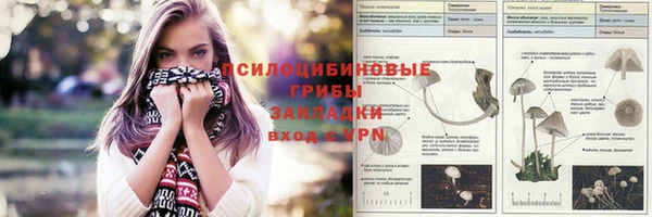 ешки Липки