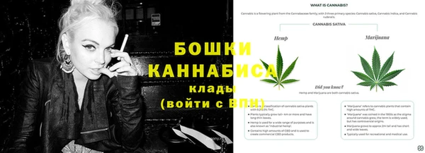 крисы Магас