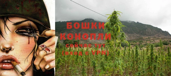 бошки Лиски